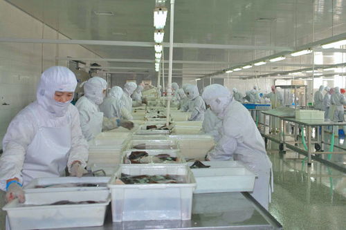 食品凈化車間的設(shè)計(jì)方案要求